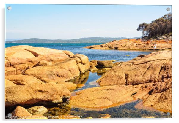 Red rocks and blue water - Coles Bay Acrylic by Laszlo Konya