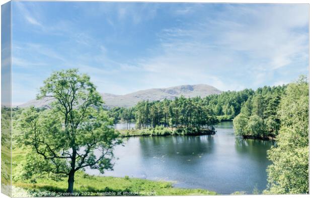 Tarn Hows In The Lake District - View Over The Lake Canvas Print by Peter Greenway