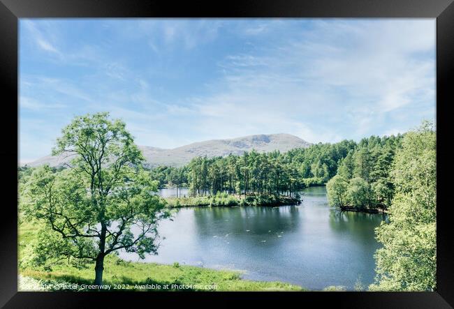 Tarn Hows In The Lake District - View Over The Lake Framed Print by Peter Greenway