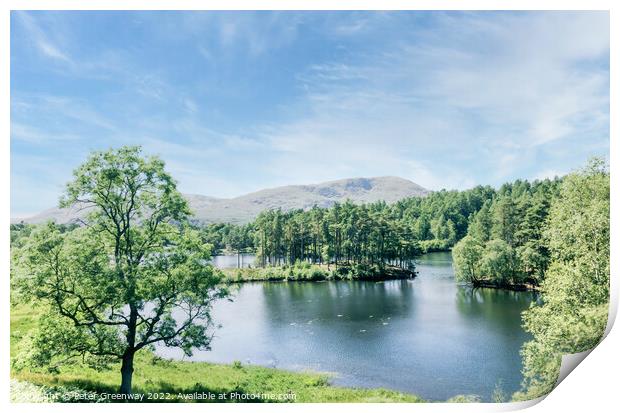 Tarn Hows In The Lake District - View Over The Lake Print by Peter Greenway