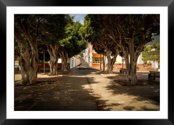 Tree lined avenue Framed Mounted Print by Leighton Collins