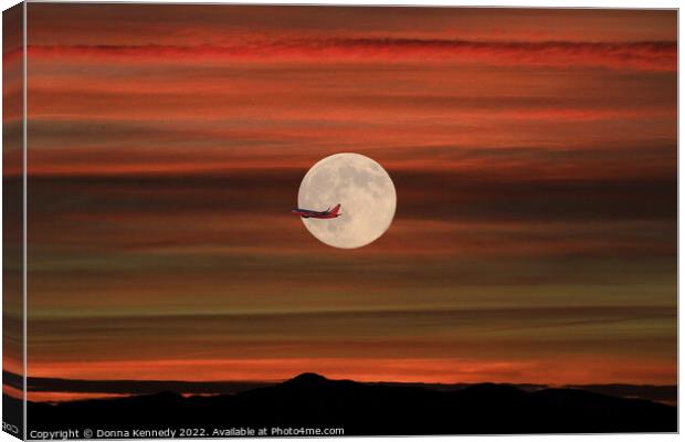 Sunset Flight Canvas Print by Donna Kennedy