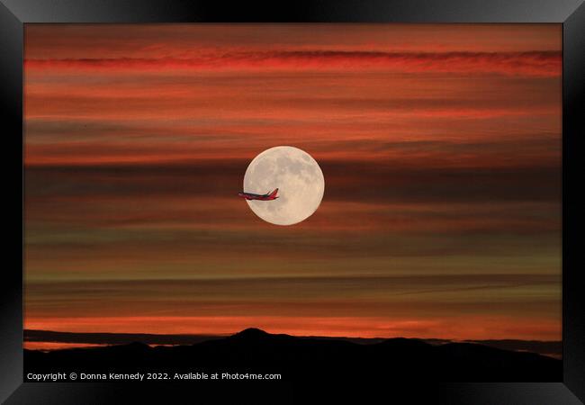 Sunset Flight Framed Print by Donna Kennedy