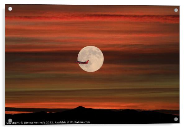Sunset Flight Acrylic by Donna Kennedy