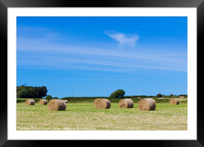 Hay Bales and Blue Sky Framed Mounted Print by Heidi Stewart