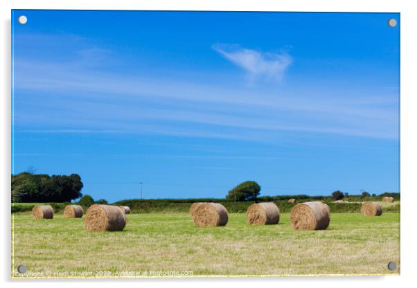 Hay Bales and Blue Sky Acrylic by Heidi Stewart