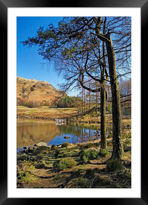 Blea Tarn Lake District Cumbria  Framed Mounted Print by Darren Galpin