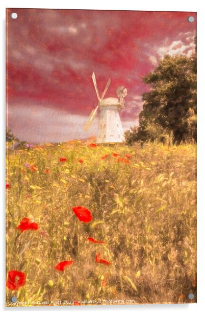 Hillside Windmill Acrylic by David Pyatt