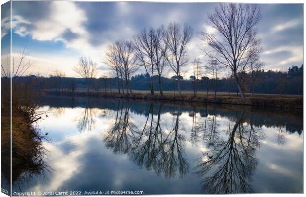 Reflections in the river on a cloudy day. - Orton glow Edition  Canvas Print by Jordi Carrio