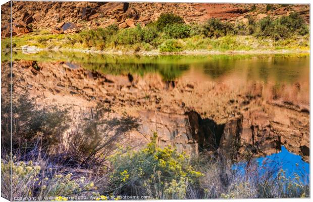 Colorado River Rock Canyon Reflection Abstract Moab Utah  Canvas Print by William Perry