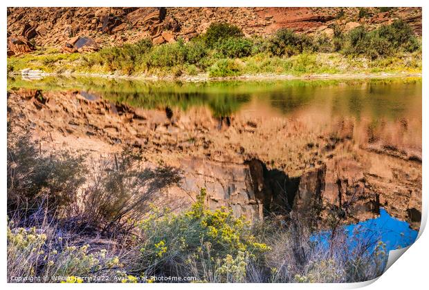 Colorado River Rock Canyon Reflection Abstract Moab Utah  Print by William Perry
