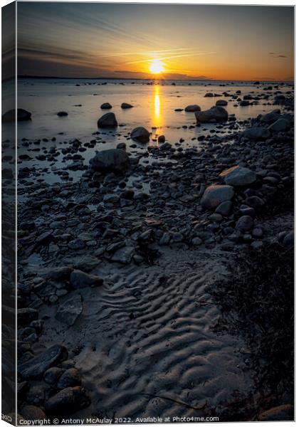 Hittarp Rocky Coastline at Sunset Canvas Print by Antony McAulay