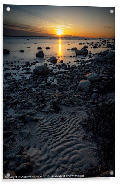 Hittarp Rocky Coastline at Sunset Acrylic by Antony McAulay