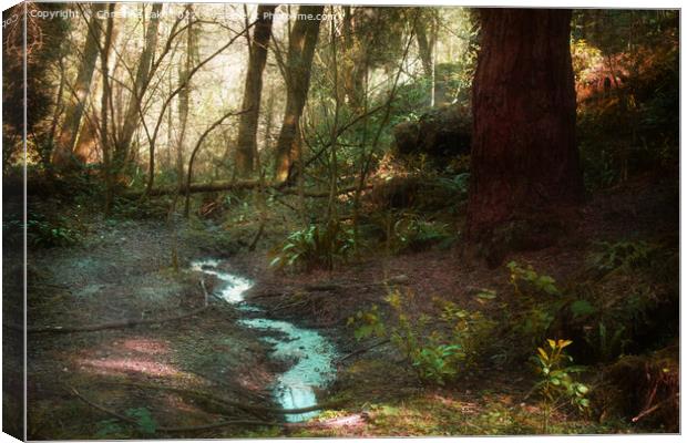 Meandering Through Canvas Print by Christine Lake