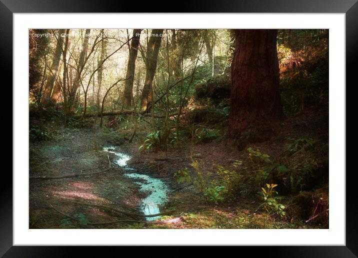 Meandering Through Framed Mounted Print by Christine Lake