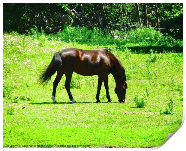 Grazing Horse Print by Stephanie Moore