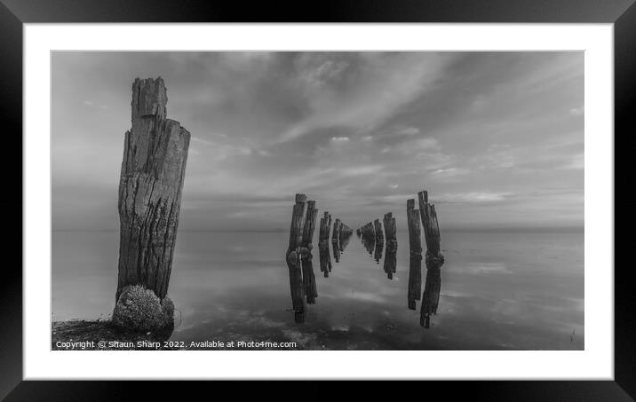 The Dell in Black and White Framed Mounted Print by Shaun Sharp