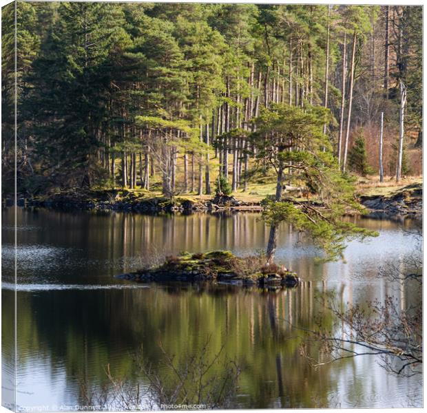 Close reflections at Tarn Hows' Canvas Print by Alan Dunnett