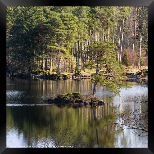 Close reflections at Tarn Hows' Framed Print by Alan Dunnett