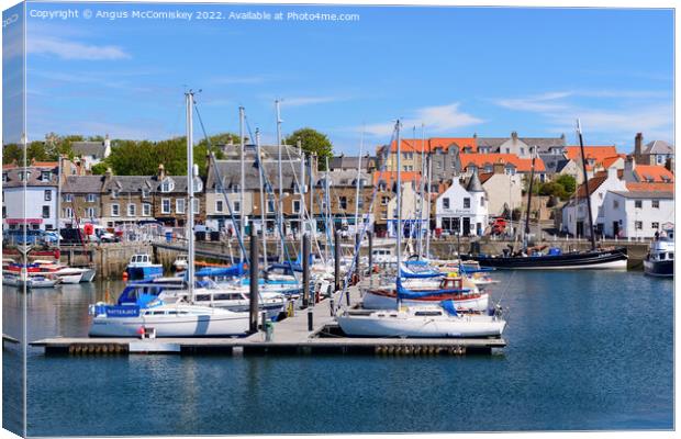 Pontoons in Anstruther marina in Fife Canvas Print by Angus McComiskey
