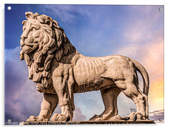 Waterloo Lion Statue Acrylic by Daniel Gwalter