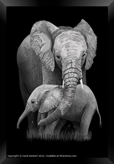 Mother and Baby Elephant Original Art Framed Print by Carol Herbert