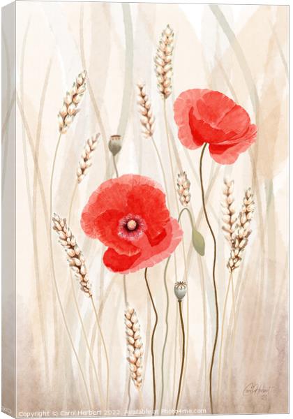 Poppies and Corn Original Art Canvas Print by Carol Herbert
