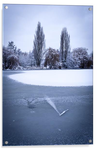 Frozen pond Acrylic by Gary Eason