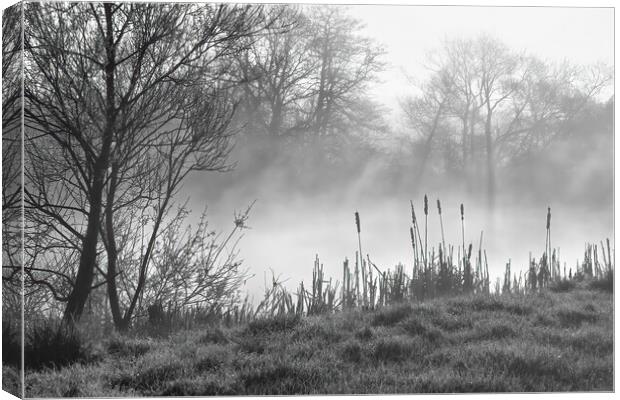 Peaceful misty morning Canvas Print by Joyce Storey