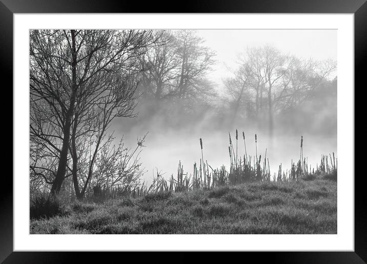 Peaceful misty morning Framed Mounted Print by Joyce Storey