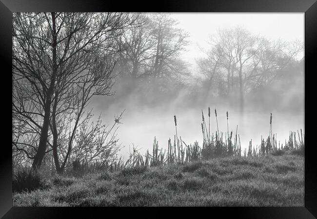 Peaceful misty morning Framed Print by Joyce Storey