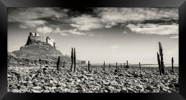 Lindisfarne Castle, Holy Island, Northumberland Framed Print by Phill Thornton