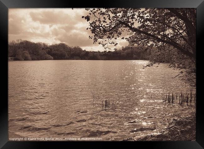 Reservoir Newbold-upon-Avon Framed Print by Elaine Anne Baxter