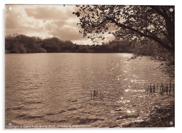 Reservoir Newbold-upon-Avon Acrylic by Elaine Anne Baxter