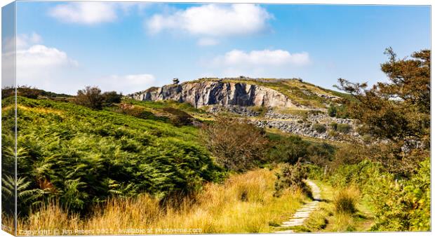 Stowes Hill quarry the Cheesewring on Bodmin Moor Canvas Print by Jim Peters