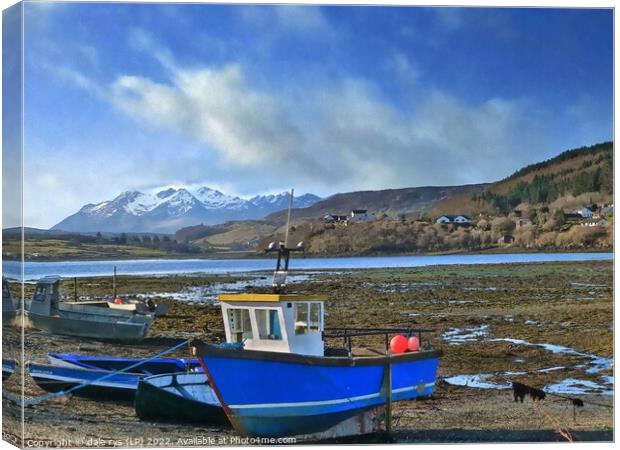 SKYE LIFE Canvas Print by dale rys (LP)