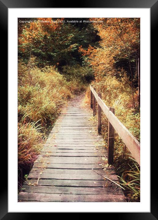 The Autumn Years Framed Mounted Print by Christine Lake