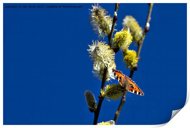 Blue Sky and a Butterfly Print by Jim Jones