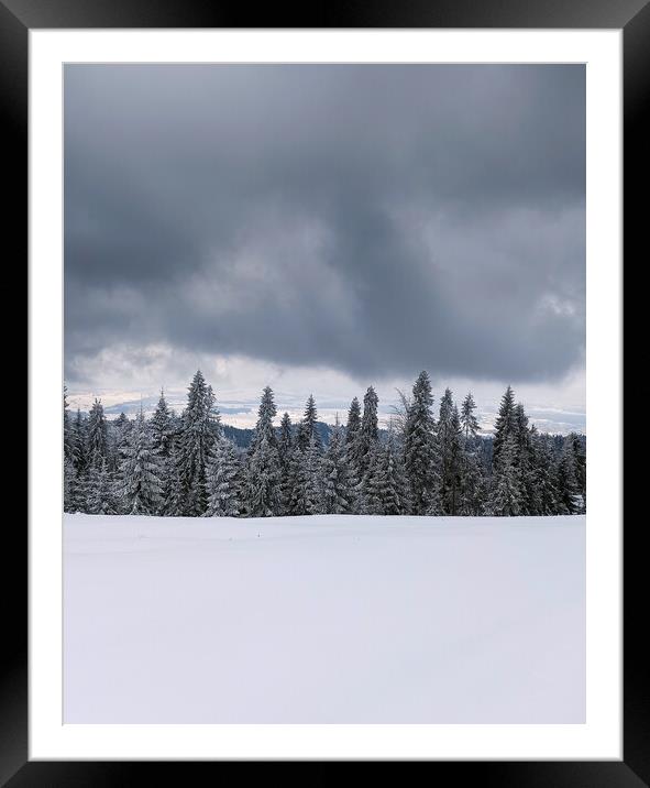 Winter landscape with fair trees under the snow against dark clouds. Scenery for the tourists. Christmas holidays. Framed Mounted Print by Arpan Bhatia