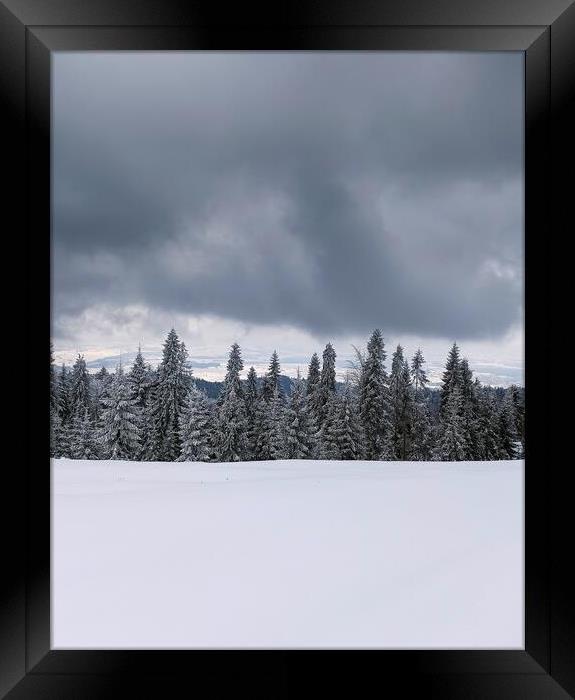 Winter landscape with fair trees under the snow against dark clouds. Scenery for the tourists. Christmas holidays. Framed Print by Arpan Bhatia