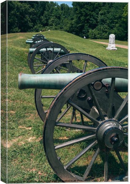 Battery de Golyer Field Cannon on Vicksburg Battlefield Canvas Print by Dietmar Rauscher