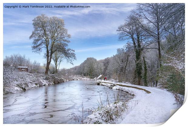 The Icy Millpond Print by Mark Tomlinson