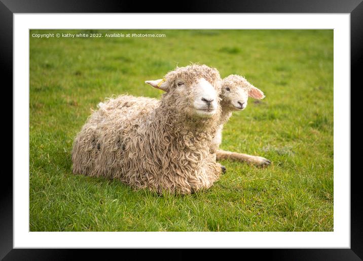 Mother with her  baby lamb Framed Mounted Print by kathy white