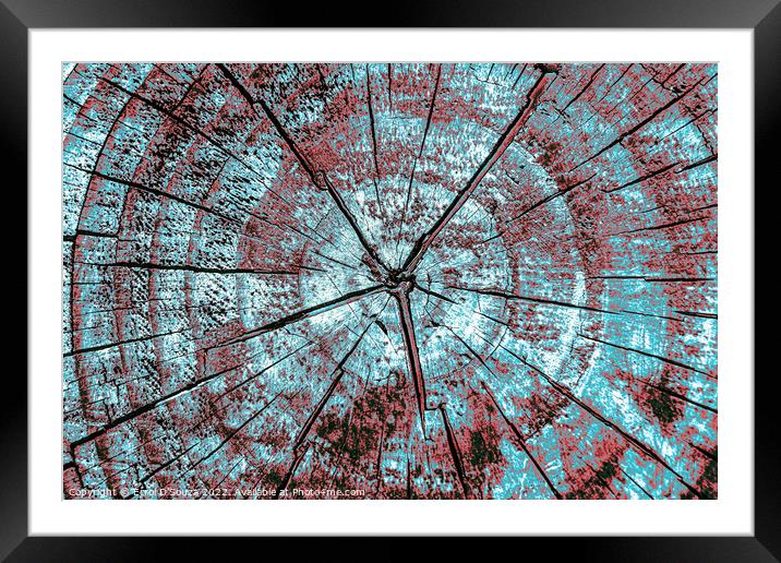 Tree trunk cross section abstract Framed Mounted Print by Errol D'Souza