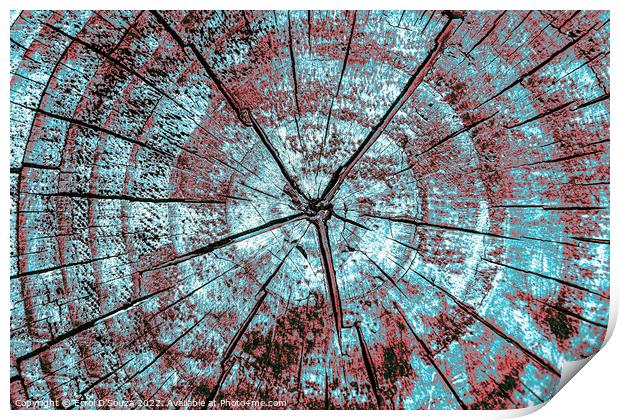 Tree trunk cross section abstract Print by Errol D'Souza