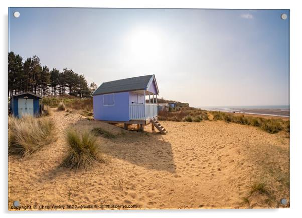 Wooden beach hut Acrylic by Chris Yaxley