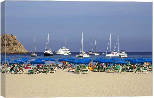 Yachts and Beach Umbrellas Canvas Print by Tom Gomez