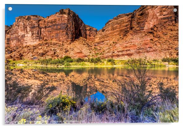 Colorado River Rock Canyon Reflection Moab Utah  Acrylic by William Perry