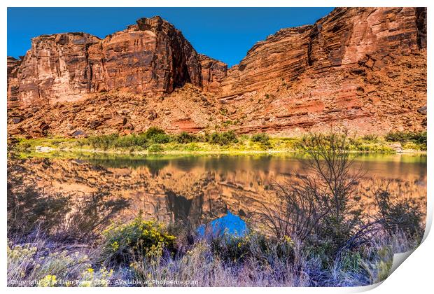 Colorado River Rock Canyon Reflection Moab Utah  Print by William Perry