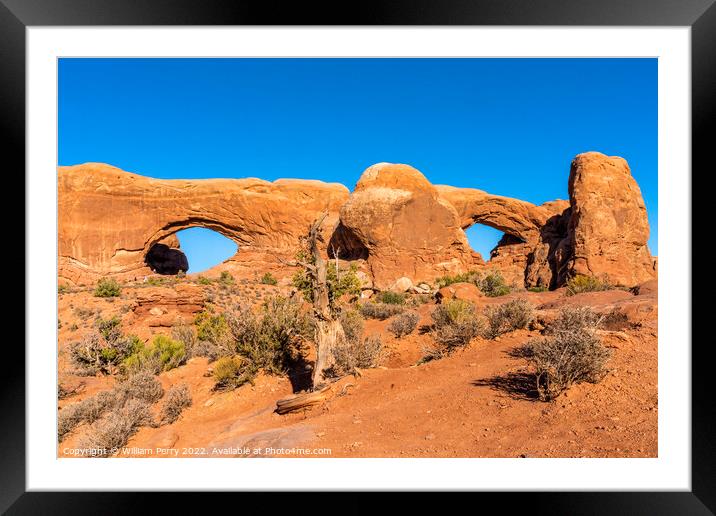 North South Windows Section Arches National Park Moab Utah  Framed Mounted Print by William Perry